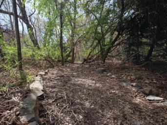 Trail at New Franklin School